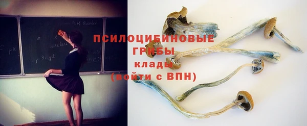 марки nbome Козловка