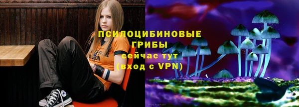 кокаин премиум Козельск
