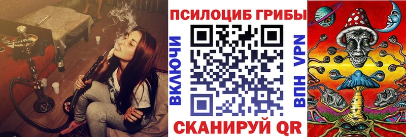 Галлюциногенные грибы Cubensis  Купить где  Калининск 